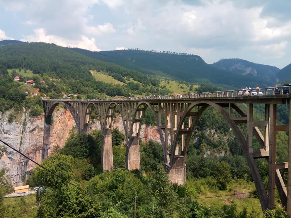 tara bridge
