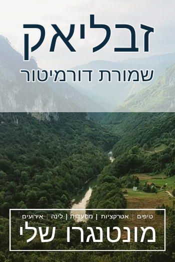 זבליאק ודורמיטור