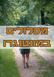 מסלולים מומלצים